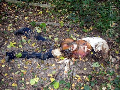 corpses_38_03.jpg