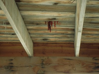 cs18_icicles.jpg