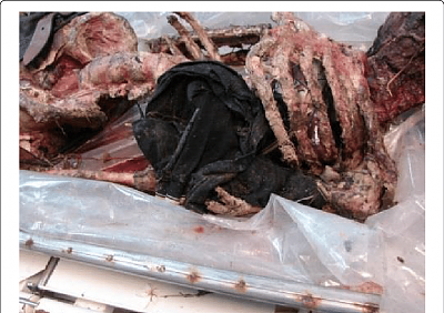 complete-globbling-cadaver.png