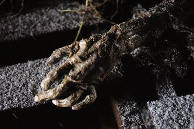 body-farm-2.jpg