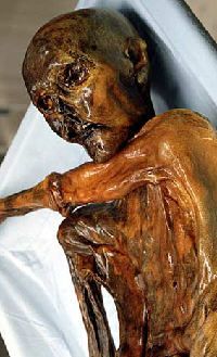 MS_Feb08_otzi.jpg