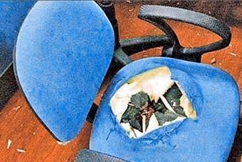 340x_anal-chair-death.jpg