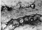 world-war-2-1.jpg
