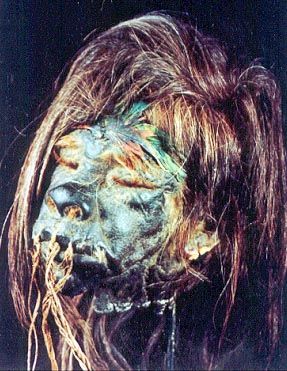 eHead.jpg