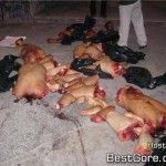 narco-mexico-mass-dismemberment-01-150x150.jpg