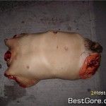 narco-mexico-mass-dismemberment-03-150x150.jpg