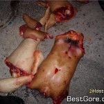 narco-mexico-mass-dismemberment-04-150x150.jpg