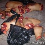 narco-mexico-mass-dismemberment-08-150x150.jpg