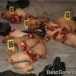 narco-mexico-mass-dismemberment-22-150x150.jpg