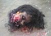 tn_rn_beheading40.jpg