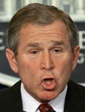BushChimp.jpg