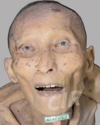 male-20-2890-29.jpg