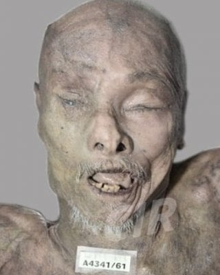 male-20-2885-29.jpg