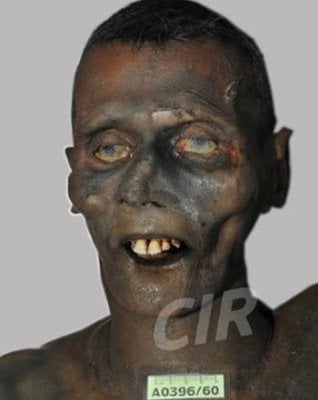 male-20-2877-29.jpg