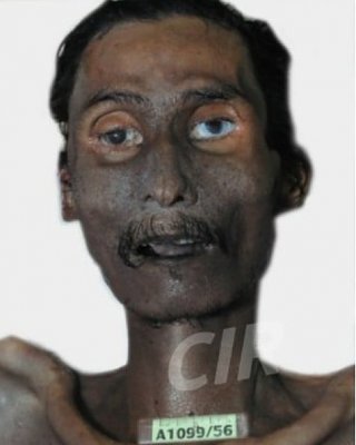 male-20-2823-29.jpg