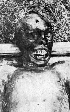641.jpg