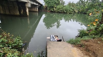 a1.jpg