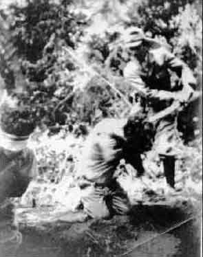 beheading.jpg