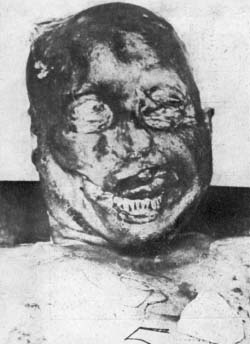 EWWW4.jpg