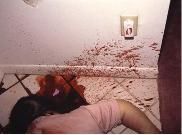 5693-woman-brutally-murdered-with-a-baseball-bat3.jpg