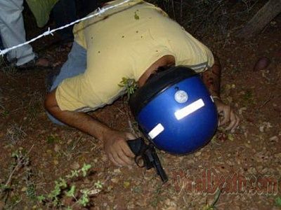 vd-under-fence.jpg