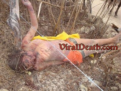 vd-beat-tree-limb-.jpg
