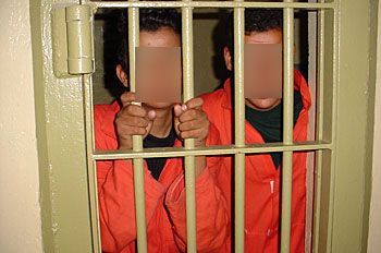 1_35.JPG