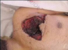 abu-ghraib_sbs55.jpg