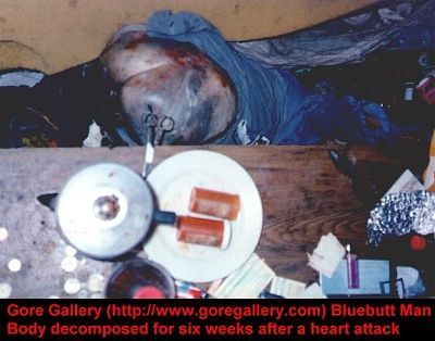 gg-bluebutt.jpg