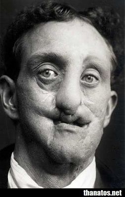 19570.thumb.jpg