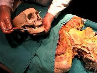 UW_dissectionVids.jpg