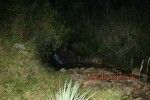 viraldeath_com_massacre7555-150x100.jpg