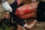viraldeath_com_massacre7562-150x100.jpg