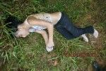 viraldeath_com_massacre7569-150x100.jpg