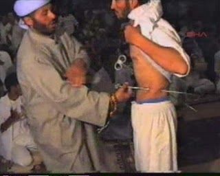 turkish_sect.jpg