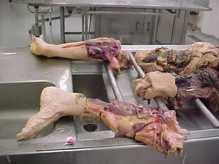 crime_farah08.jpg