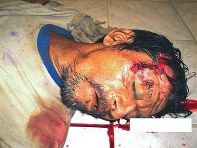 viraldeath_com-road-kill-2.jpg