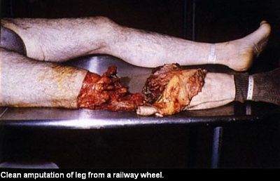 112047.thumb.jpg