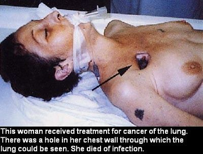 112053.thumb.jpg