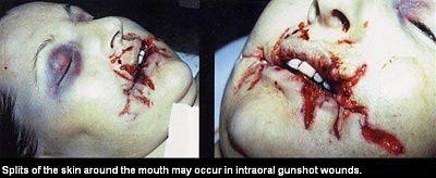 112057.thumb.jpg