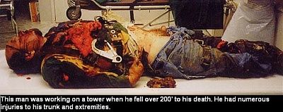 112072.thumb.jpg