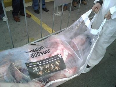 ds-cadaver.jpg