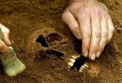 cadaver.jpg