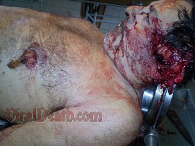 viraldeath_com-12-gauged.jpg