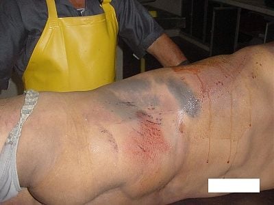imagen-224.jpg