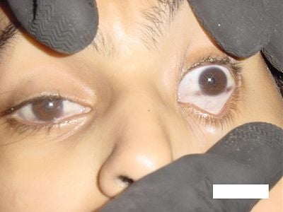 imagen-226.jpg