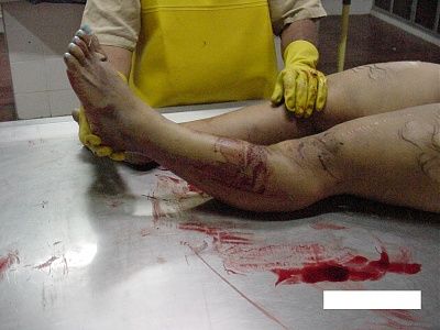 imagen-230.jpg