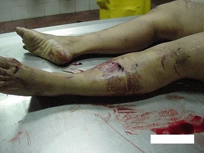 imagen-231.jpg