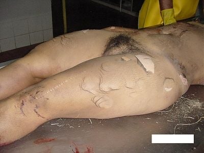 imagen-233.jpg