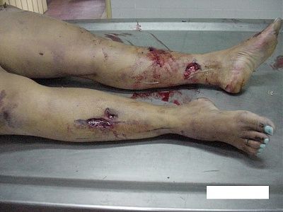 imagen-234.jpg